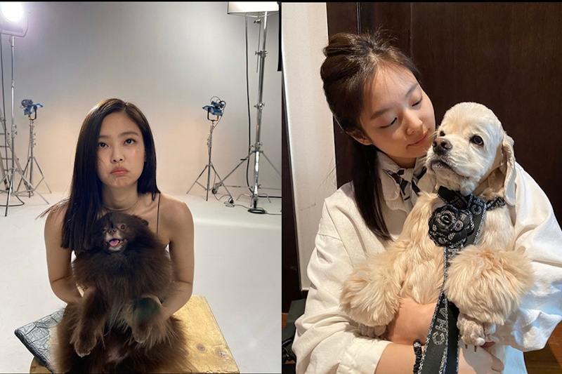 毛小孩 Jennie｜美周報