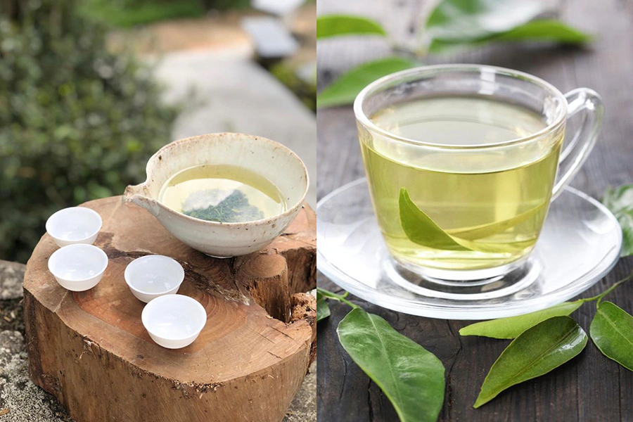 美白 水果 防曬 綠茶|美周報