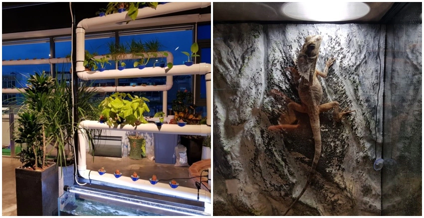 釜山室內動物園|美周報