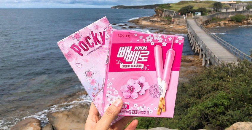 櫻花PEPERO|美周報