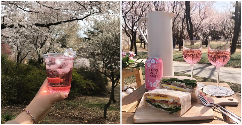 櫻花氣泡水|美周報