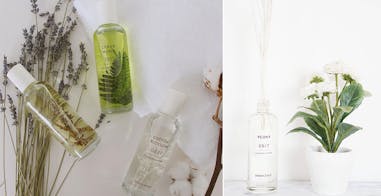 美周報|Innisfree