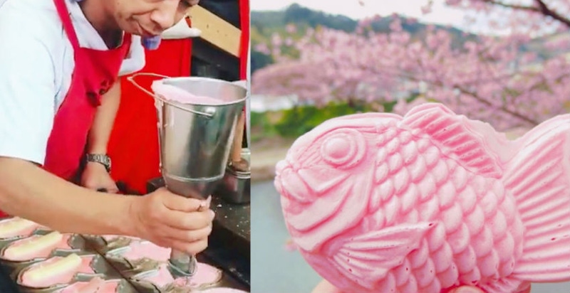 櫻花鯛魚燒｜美周報