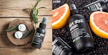 Lush｜美周報