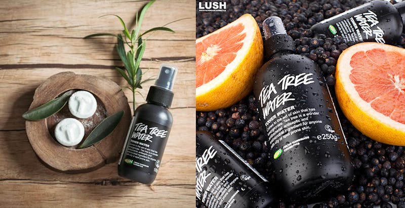 Lush｜美周報