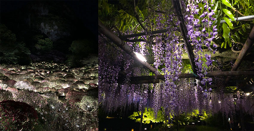 美周報｜御船山樂園