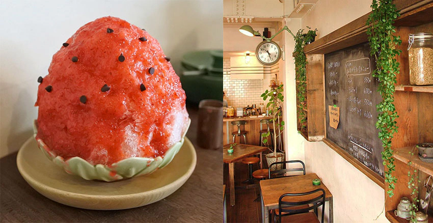 美周報|森森舍