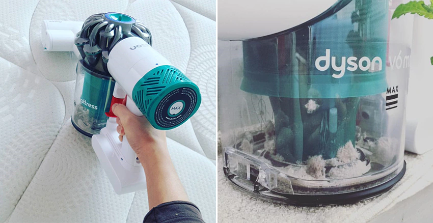 Dyson V6|美周報