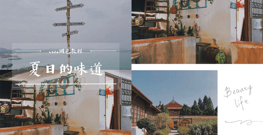 夏日的味道|美周報