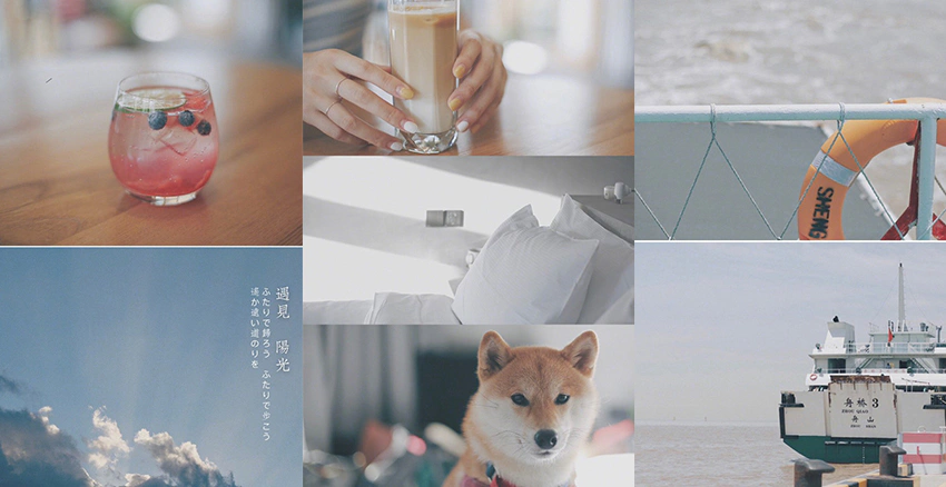 日系奶油白|美周報