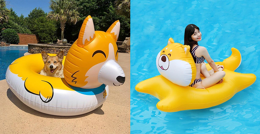 萌犬泳圈|美周報