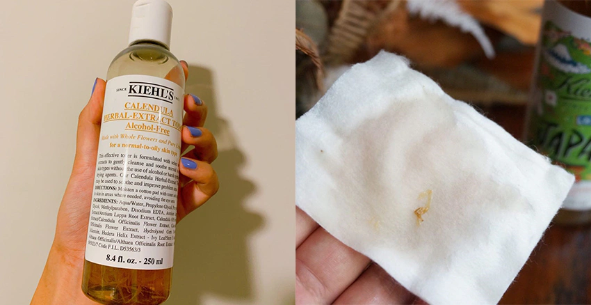 Kiehls|美周報