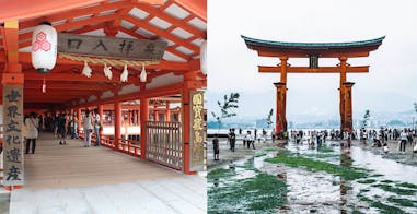 美周報｜海中神社-嚴島神社