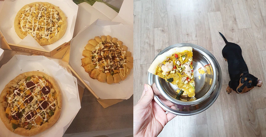 寵物甜點|美周報