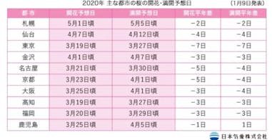 日本賞櫻攻略｜美周報