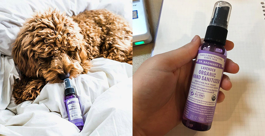 生活小物推薦 乾洗手推薦 Dr.Bronner's 布朗博士 布朗博士薰衣草噴霧乾洗手|美周報