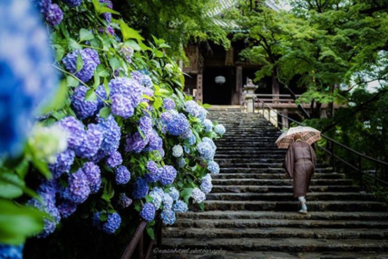 美周報｜鎌倉長谷寺