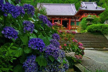 美周報｜奈良矢田寺