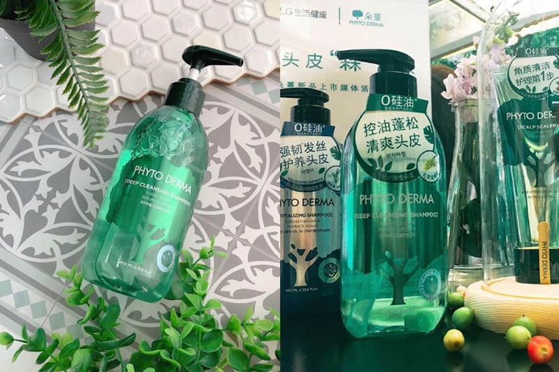 PHYTO DERMA朵蔓 頭皮淨化洗髮精 油頭 控油洗髮精 無添加 天然 推薦｜美周報