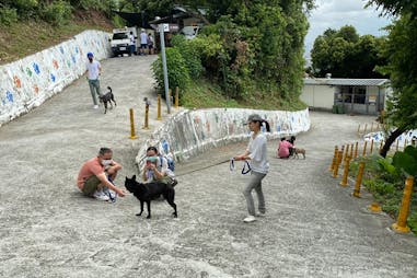 五股公立動物之家｜美周報