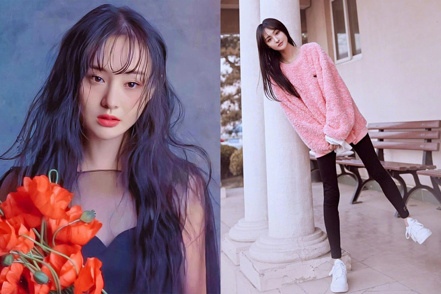 鄭爽|美周報