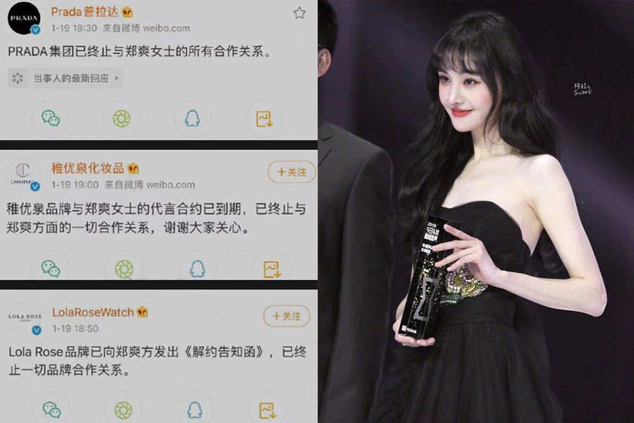 鄭爽|美周報