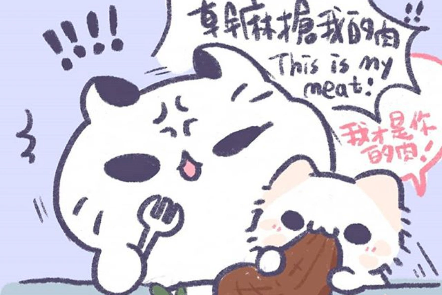 美周報|MYAOWL