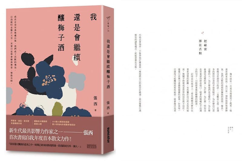 自我療癒的書單推薦《我還是會繼續釀梅子酒》｜美周報