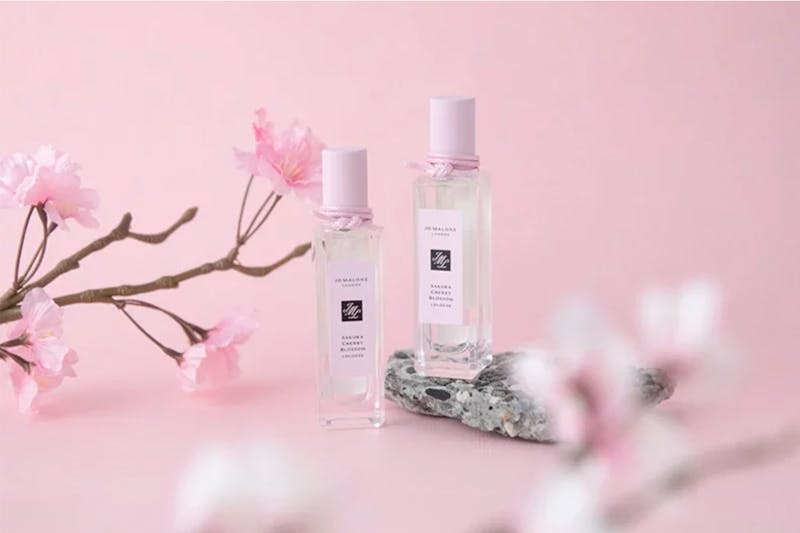 Jo Malone London限定版櫻花香水｜美周報