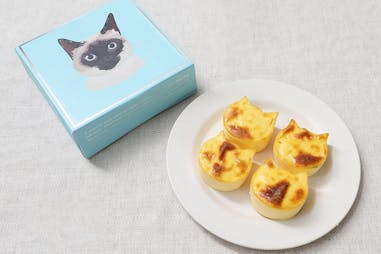 限定美食 甜點推薦NEKO NEKO CHEESECAKE 貓貓起司蛋糕