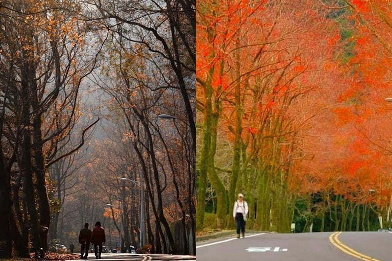 秋季景點，石門水庫