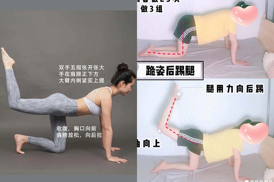 臀部訓練 跪姿後踢腿