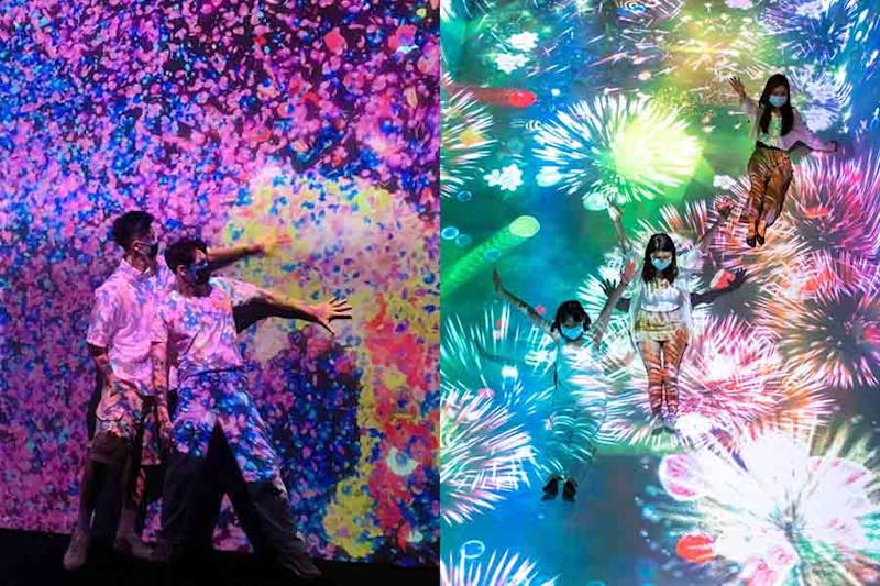 沉浸式展覽 teamLab 未來遊樂園＆與花共生的動物們