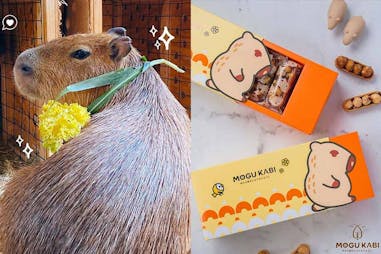 動物餐廳推薦 MOGU KABI 豆塔專賣店