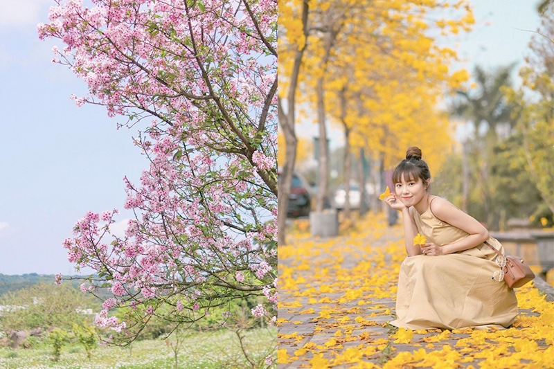 2022花季