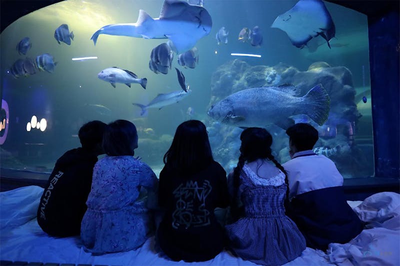 澎湖室內景點推薦｜澎湖水族館