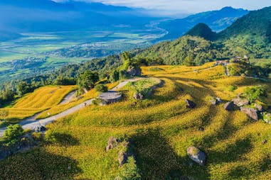 金針花必賞地點｜花蓮六十石山