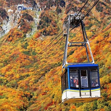 日本賞楓景點｜富山「立山纜車」