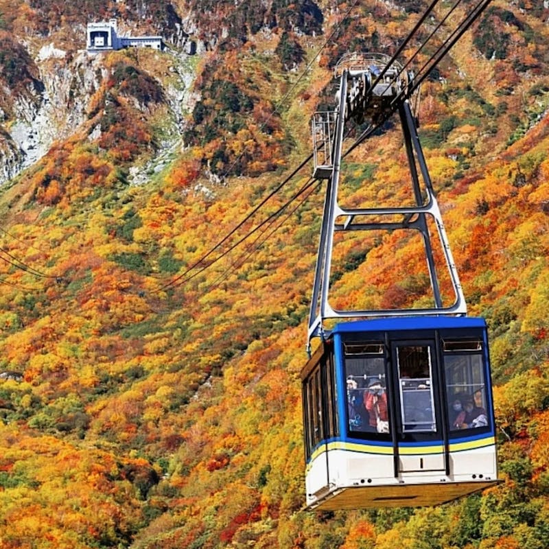 日本賞楓景點｜富山「立山纜車」