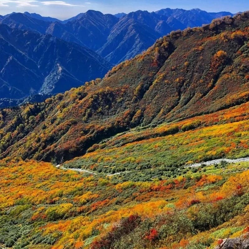 日本賞楓景點｜富山「立山纜車」