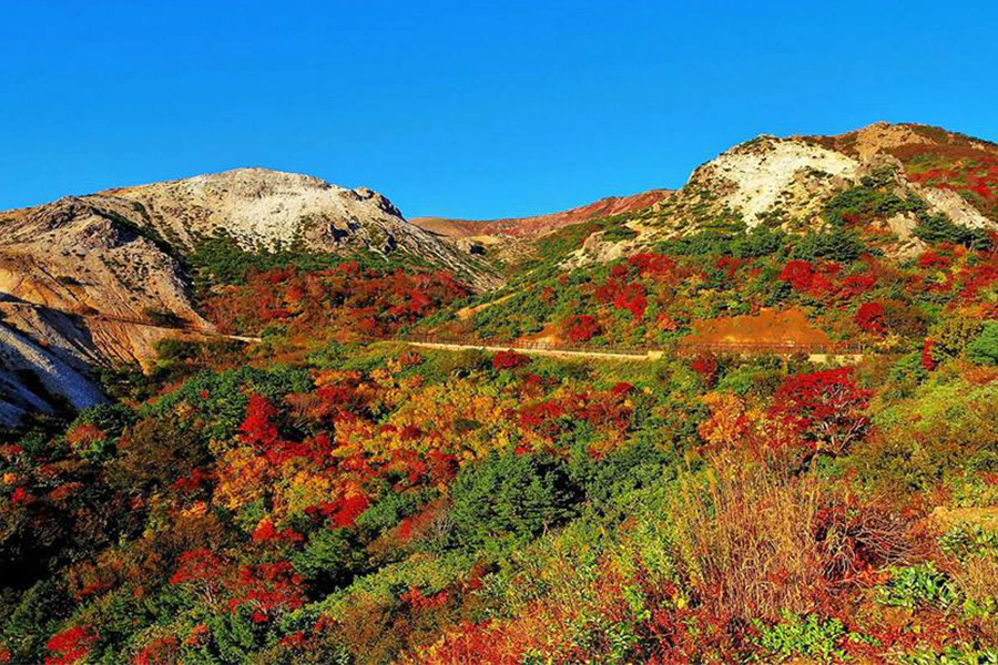 日本賞楓景點｜福島「吾妻山」