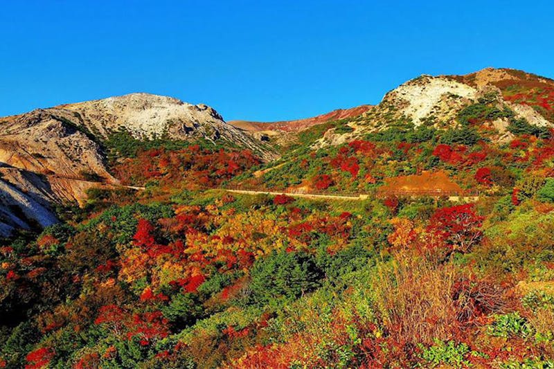 日本賞楓景點｜福島「吾妻山」