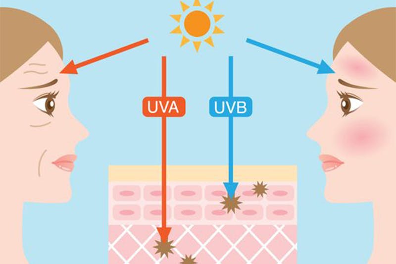 防曬 迷思 SPF PA UVA UVB 曬黑 曬老｜美周報