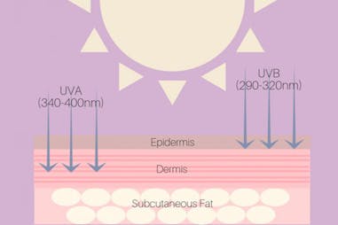 防曬 迷思 SPF PA UVA UVB 曬黑 曬老｜美周報