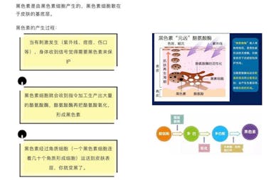 常見美白成分 變白 原理｜美周報