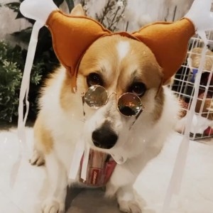 王云