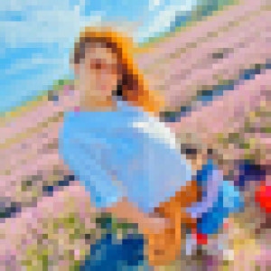 肥肥
