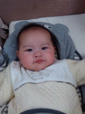 littlefish