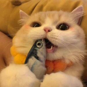 FONG