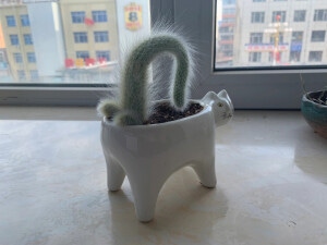 小小小小小